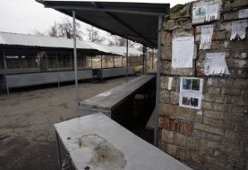 Announcing sale of dogs