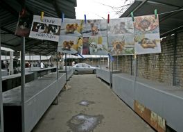 Placards with representing dogs at the market