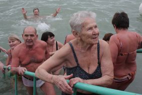 Participants of gathering of walruses