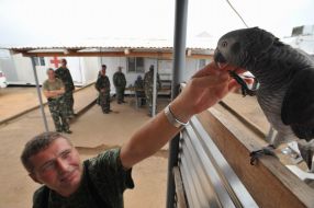 Peacemakers in Liberia