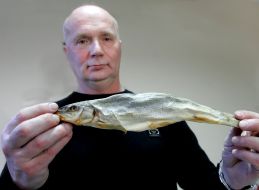 Vladimir Boreyko