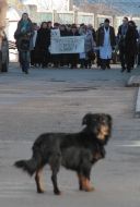 The protest in connection with the liquidation Alupkinsky hospital