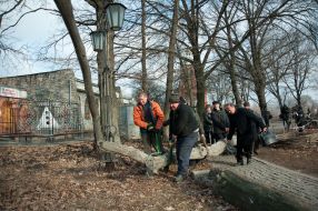 Workers carry a branch of the tree