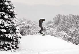Sculptural composition in park
