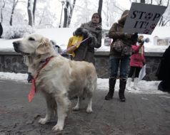 Participants of action in defence of animals