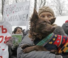 Participant of action with the dog