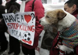 Participants of action in defence of animals