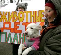 Participant of action with the dog