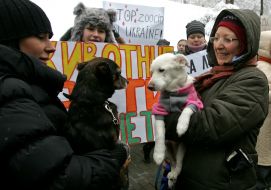 Participant of action 