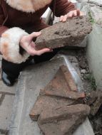 Fragments of ancient tableware