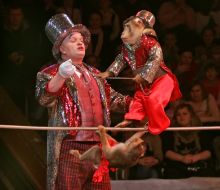 Trainer monkeys Andrey Kalyuzhny