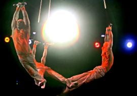 Aerialists on the Roman rings