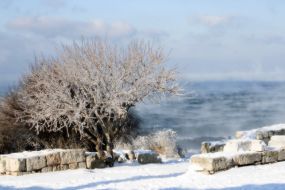 The winter in Sevastopol 