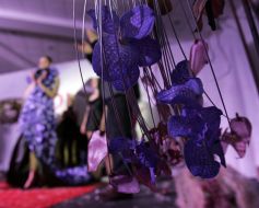 Longest clothes from natural flowers (orchids)