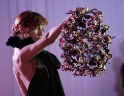 Composition from orchids