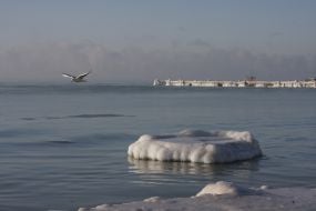 Море
