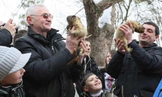 Lvov’s marmots Mishka and Marusya