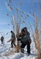 Участники акции