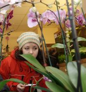 Exhibition of orchids