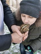 A boy kisses a frog