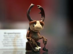 Beetle