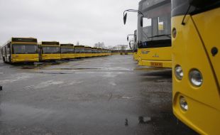 Нові автобуси