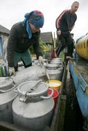 Gathering of milk
