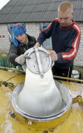 Gathering of milk