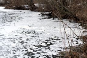 River Uzh is covered by white suds