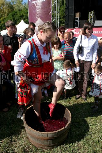 Карнавальный костюм “Виноград”