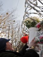 Timoshenko's supporter