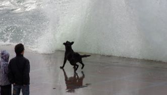 Waves on to the embankment