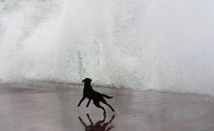 Waves on to the embankment