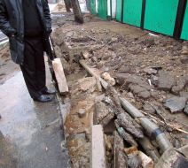 Consequences of the sewer