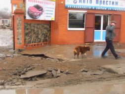 Consequences of the sewer