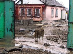 Consequences of the sewer