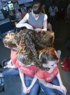 Hairdresser