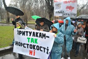 Марш в защиту бездомных животных