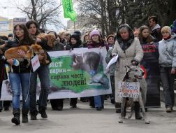 Марш в защиту бездомных животных