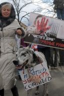 Марш в защиту бездомных животных