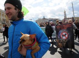 Марш в защиту бездомных животных