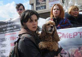 Марш в защиту бездомных животных