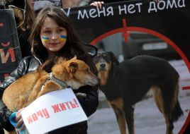 Марш в защиту бездомных животных