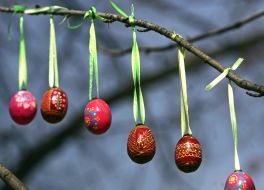 Писанки на деревьях