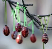 Писанки на деревьях