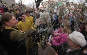 Consecration of pussy willow
