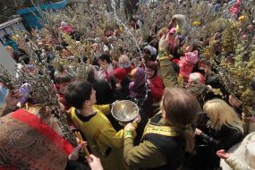 Consecration of pussy willow