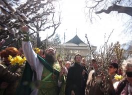 Consecration of pussy willow