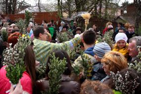 Consecration of pussy willow