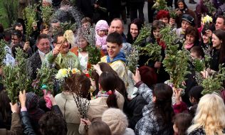 Consecration of pussy willow